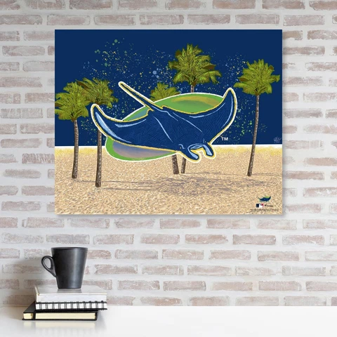 Tampa Bay Rays Posters thumbnail