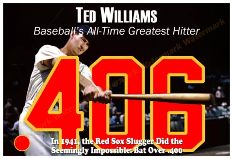 Ted Williams Posters thumbnail
