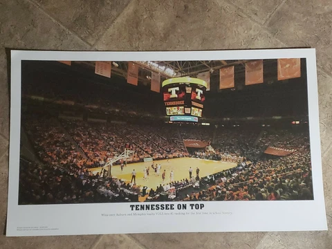 Tennessee Volunteers Posters thumbnail