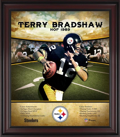 Terry Bradshaw Plaques