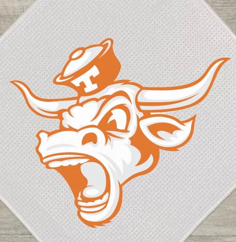 Texas Longhorns Towels thumbnail
