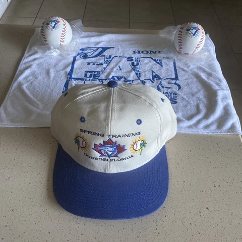 Toronto Blue Jays Towels thumbnail