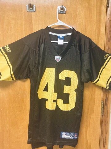 Troy Polamalu Jerseys