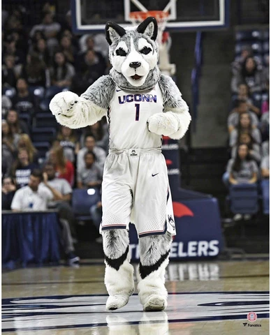 UConn Huskies Posters thumbnail