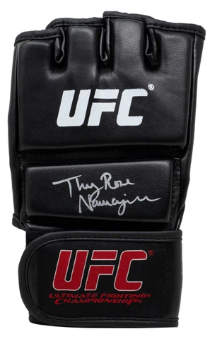 UFC Gloves