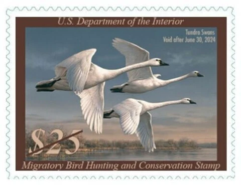 US Duck Stamps thumbnail