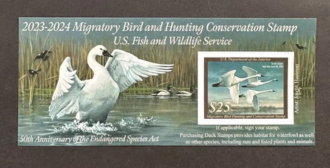 US Duck Stamps thumbnail