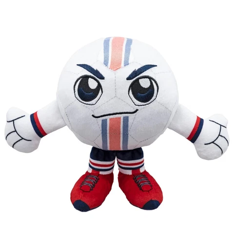 USA National Soccer Team Balls thumbnail