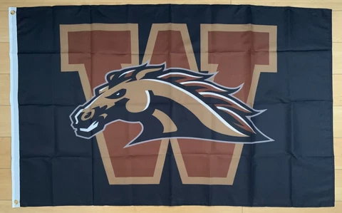 Western Michigan Broncos Flags thumbnail