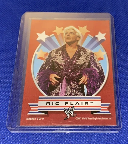 WWE Magnets thumbnail