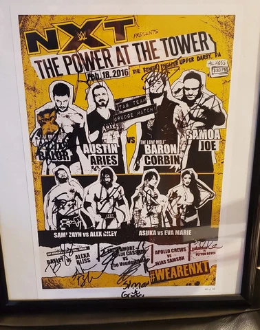 WWE Posters thumbnail