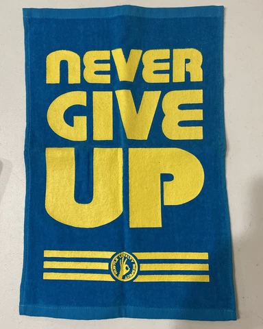 WWE Towels thumbnail